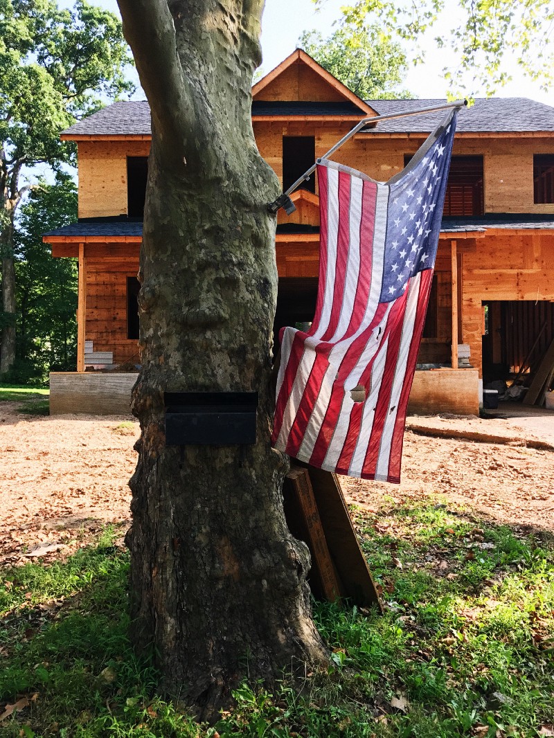 Photo of American flag on tree