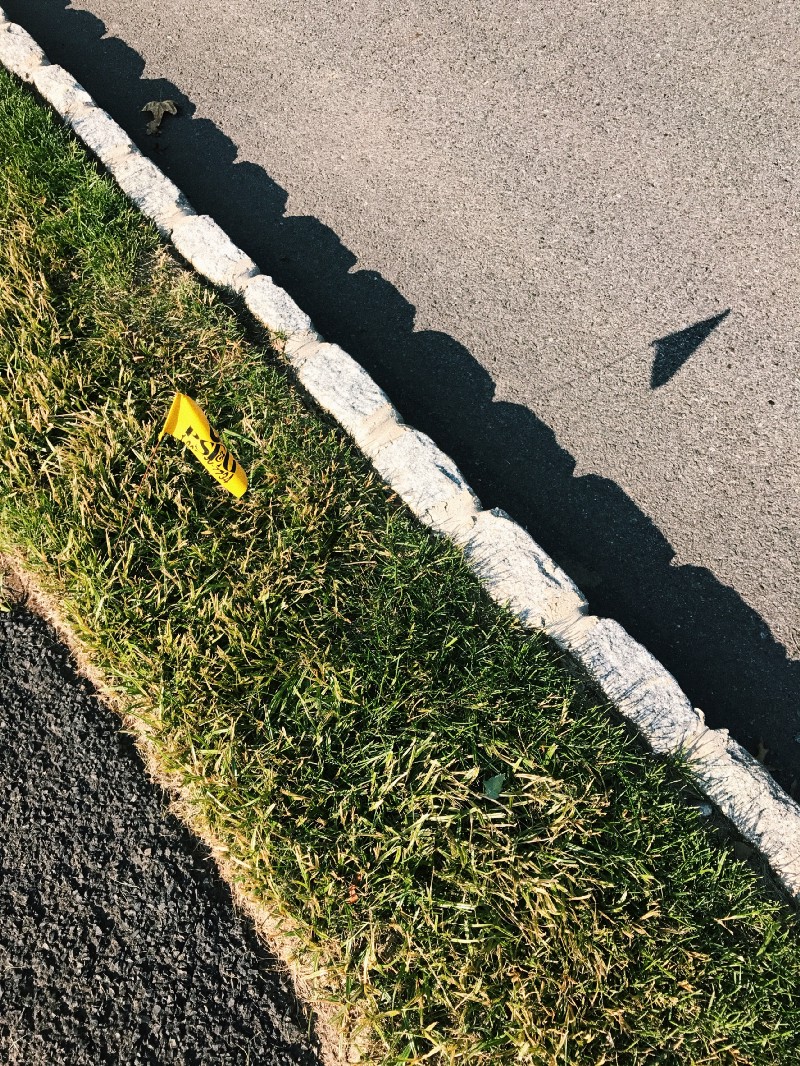 Photo of grass and sidewalk