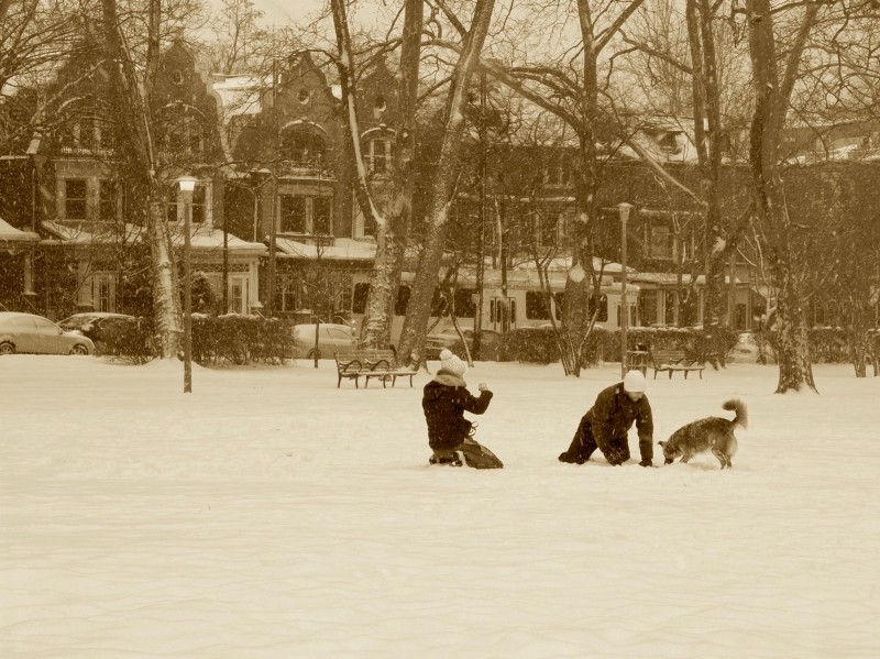 Photo of two people playing in snow with dog