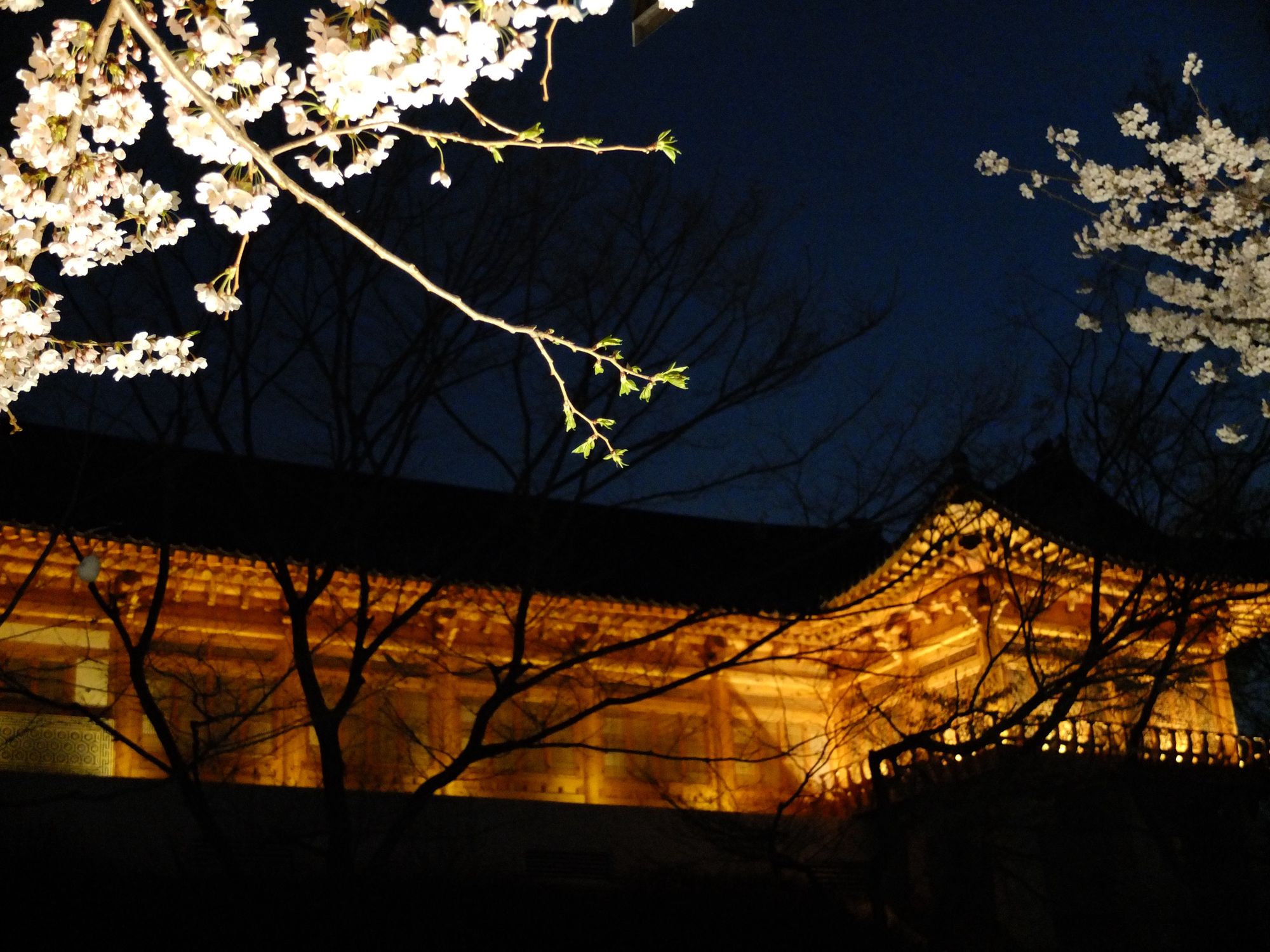 Photo of Yeouido, Seoul