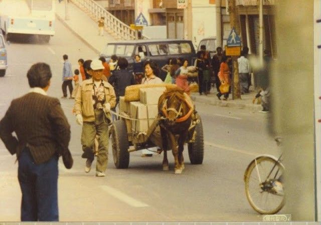 Photo of Korean cart pulled by mule