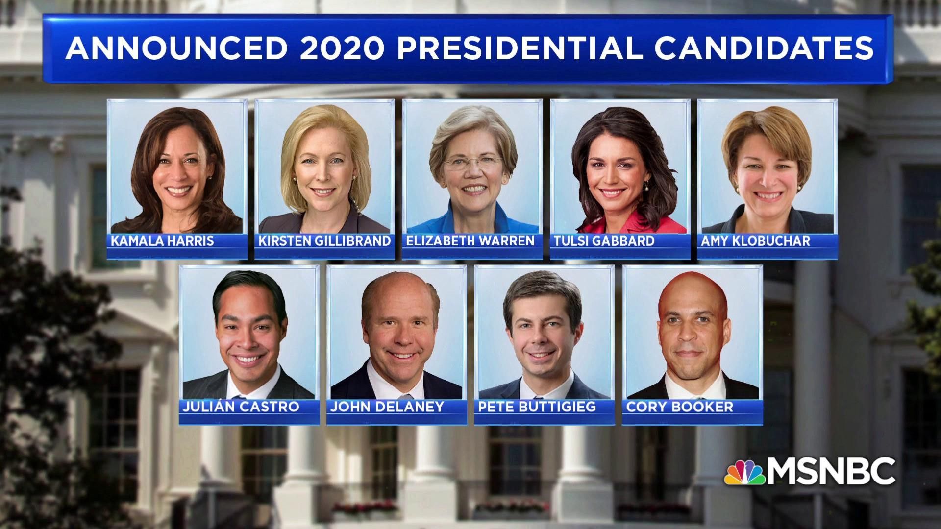Image of select 2020 Democratic presidential candidates